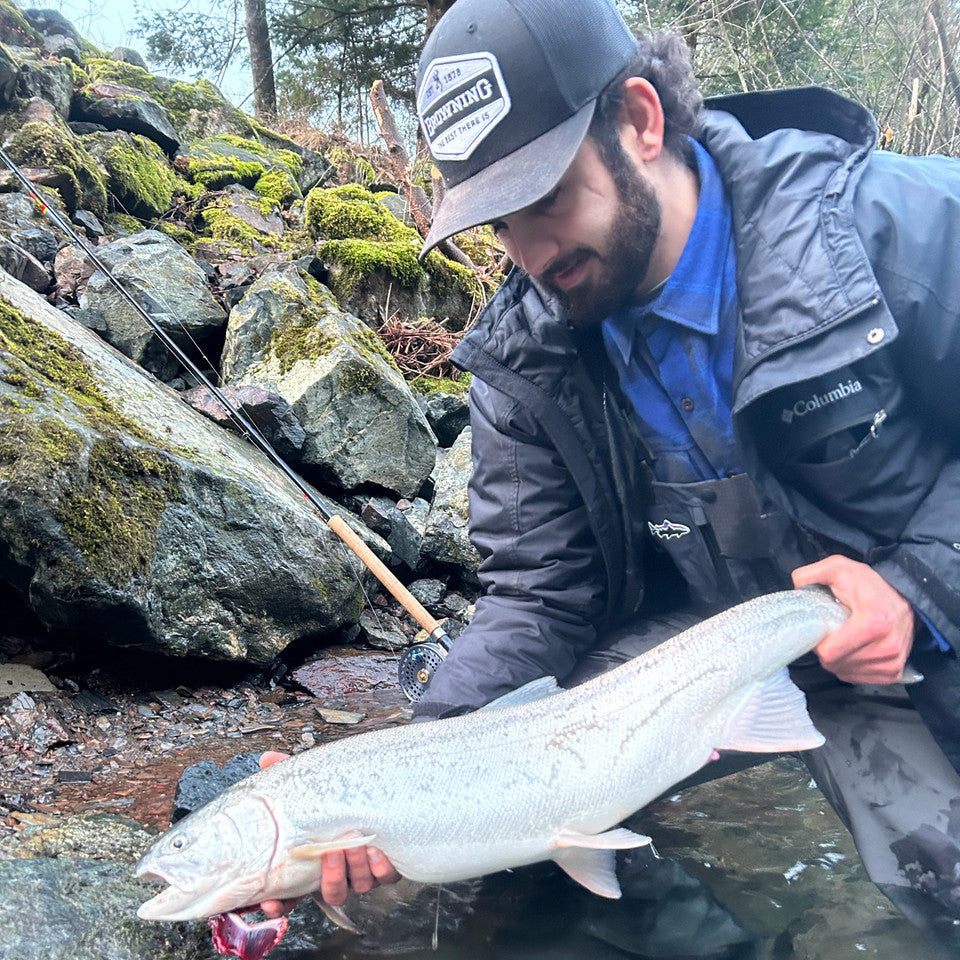 Professional Fred's Guide, Griffin, with a hatchery steelhead ready from the Chilliwack/Vedder River, ready for the bbq.
