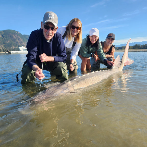 Fishing Report | Fraser River Sturgeon