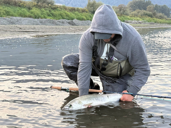 Fishing Report | Chilliwack/Vedder River