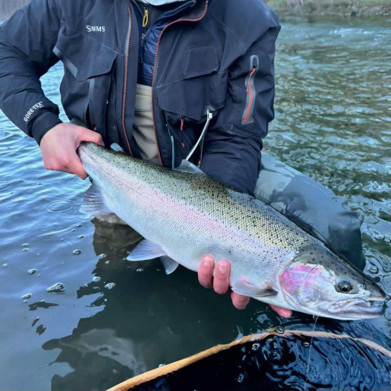 Steelheading on the Vedder: 9 Tips and Tricks