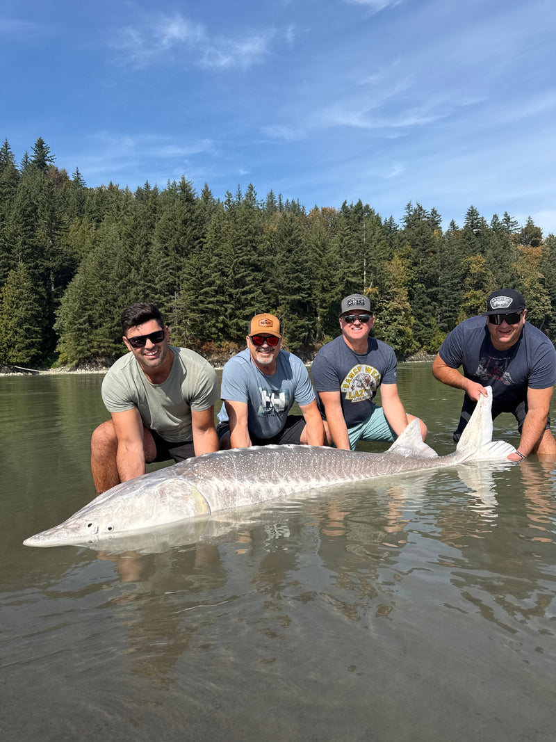 Fishing Report | Fraser River Sturgeon
