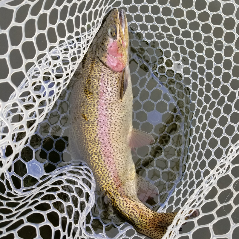 October: Fall's Finest Fly Fishing