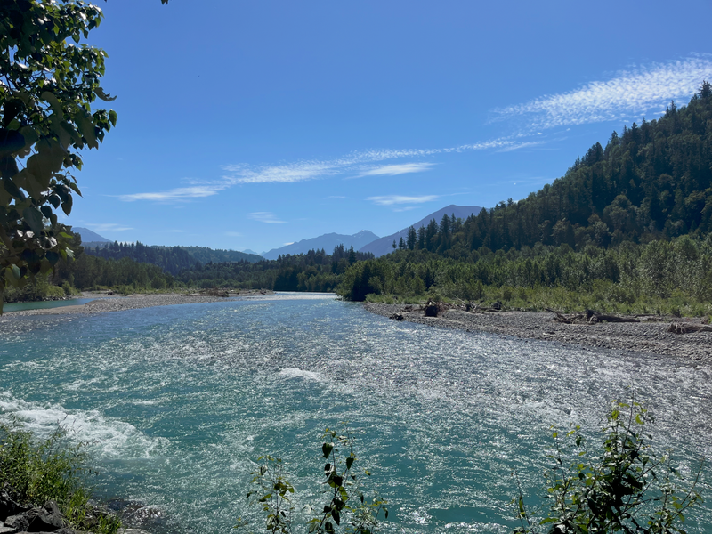 Fishing Report | Chilliwack/Vedder River