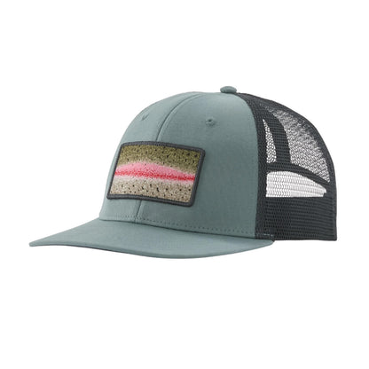 PATAGONIA TAKE A STAND TRUCKER HAT