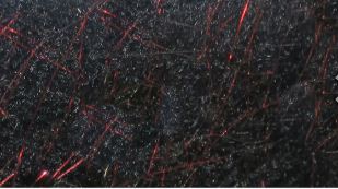 FLY FISH FOOD'S JR BRUISER BLEND