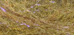 FLY FISH FOOD'S JR BRUISER BLEND