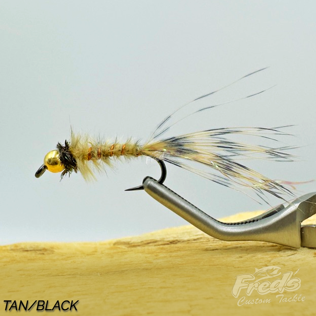 CHAN'S BARRED BMW #12 FLY