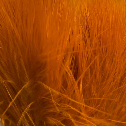 NATURES SPIRIT FISH HUNTER MARABOU