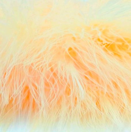 NATURES SPIRIT FISH HUNTER SPEY MARABOU