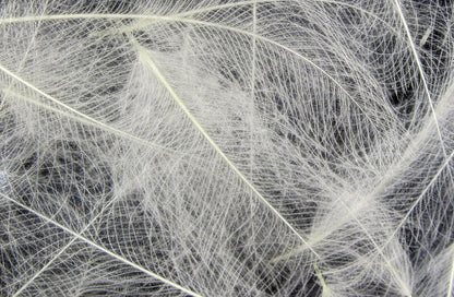 HARELINE CDC CUL DE CANARD