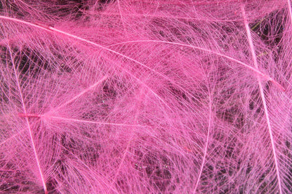 HARELINE CDC CUL DE CANARD