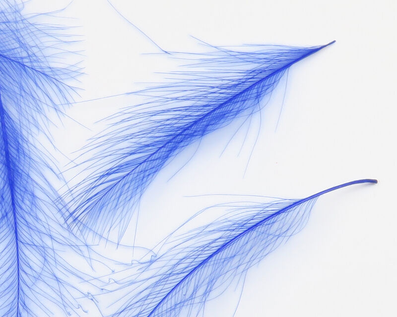 HARELINE CDC CUL DE CANARD