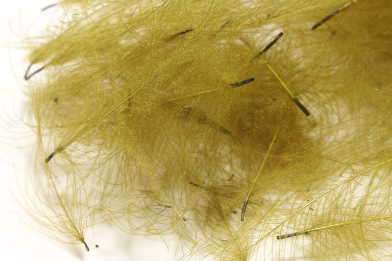 HARELINE CDC CUL DE CANARD