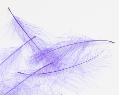 HARELINE CDC CUL DE CANARD