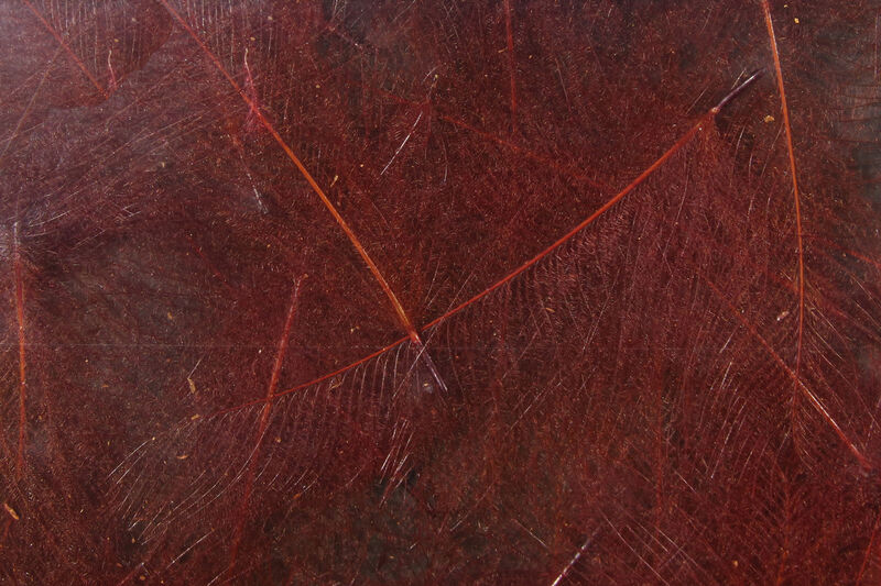 HARELINE CDC CUL DE CANARD