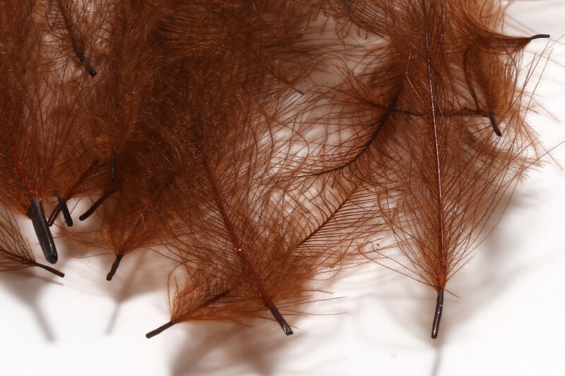 HARELINE CDC CUL DE CANARD