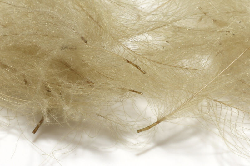 HARELINE CDC CUL DE CANARD