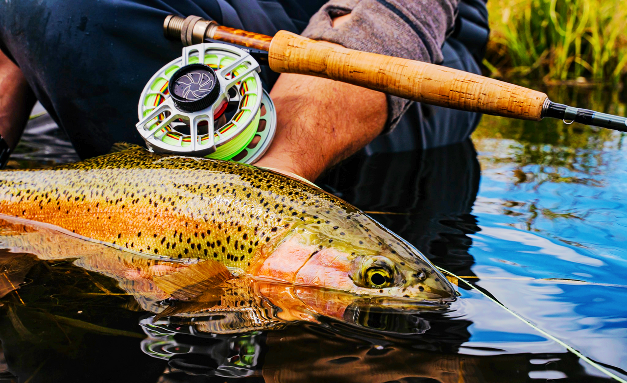 NAUTILUS XM FLY REEL