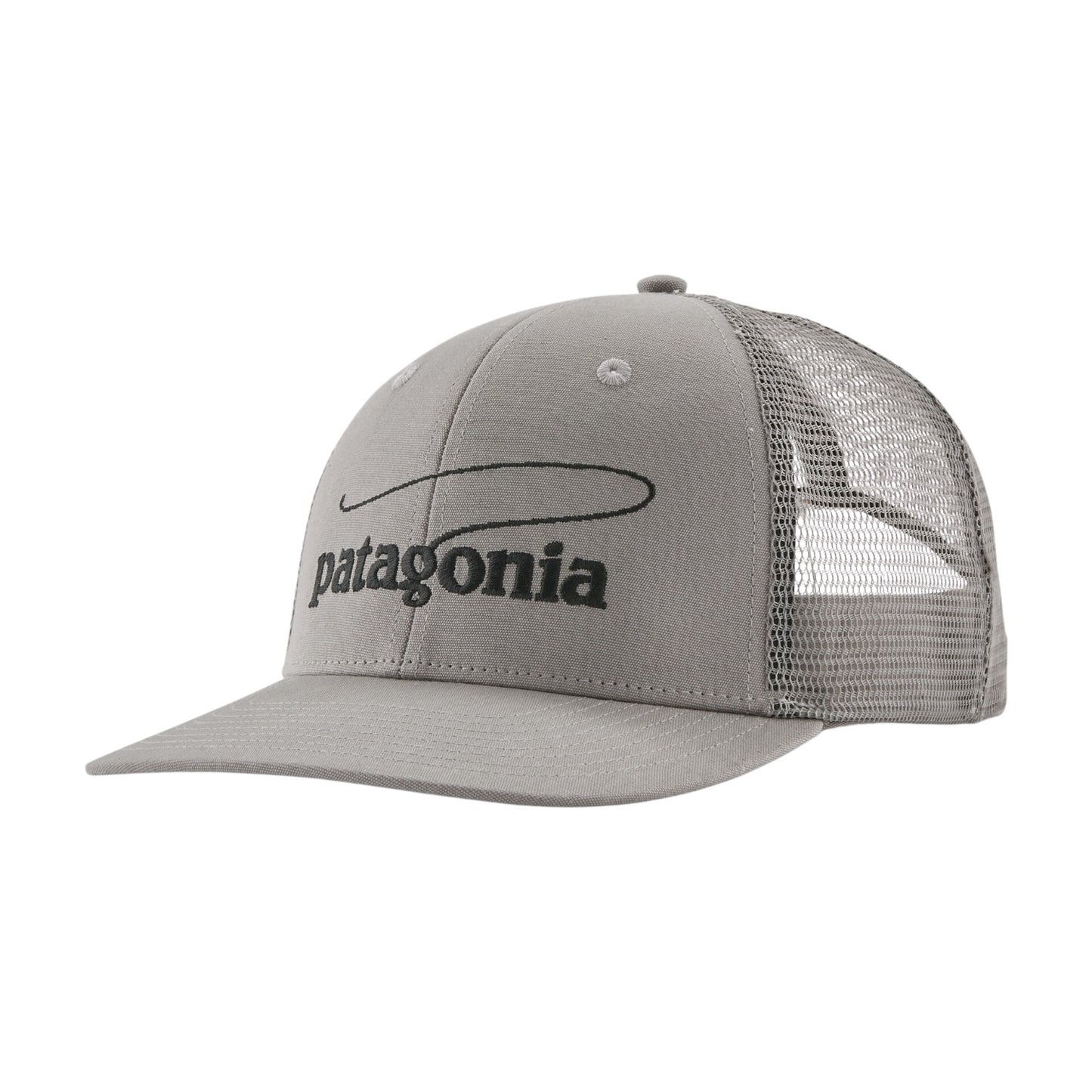 PATAGONIA TAKE A STAND TRUCKER HAT