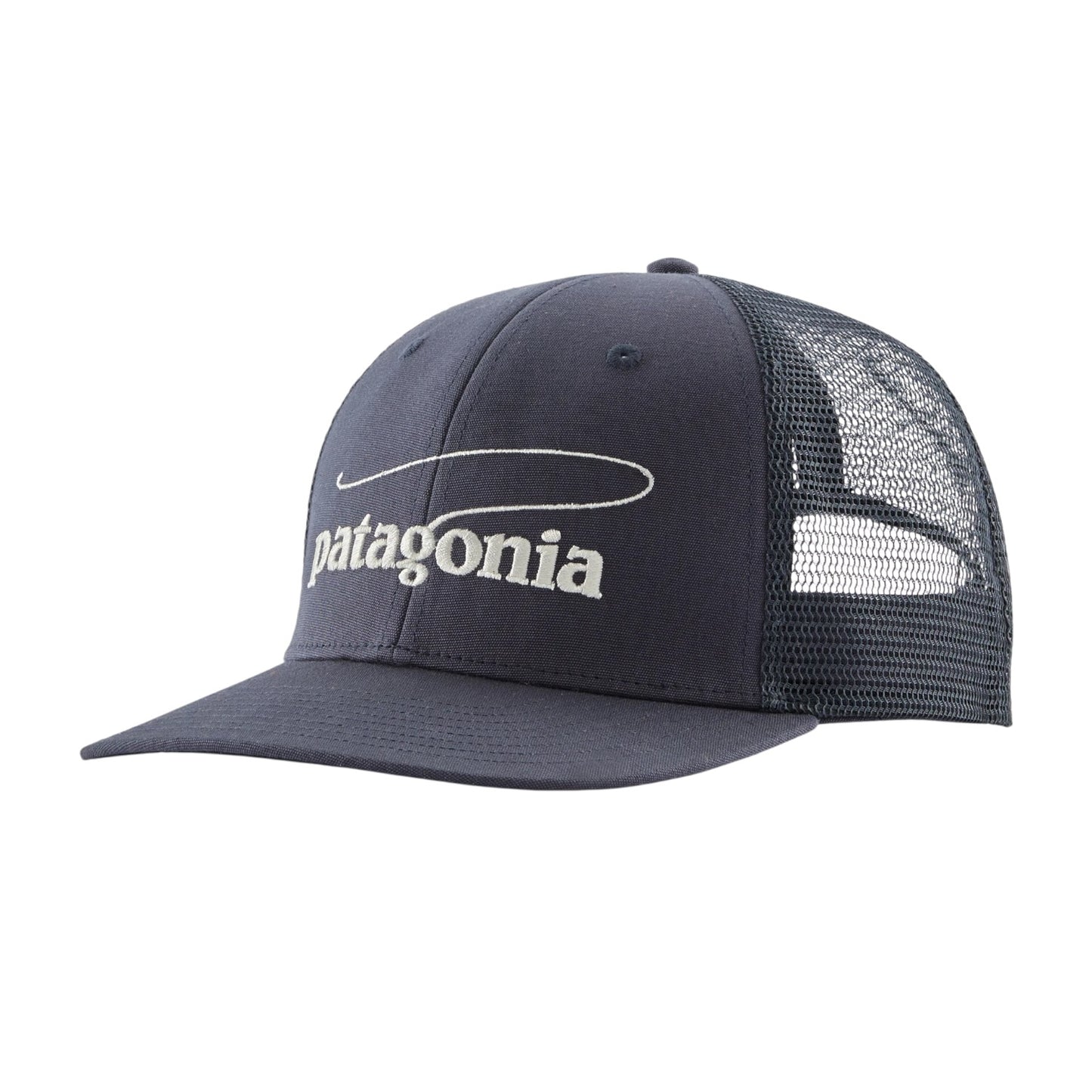 PATAGONIA TAKE A STAND TRUCKER HAT