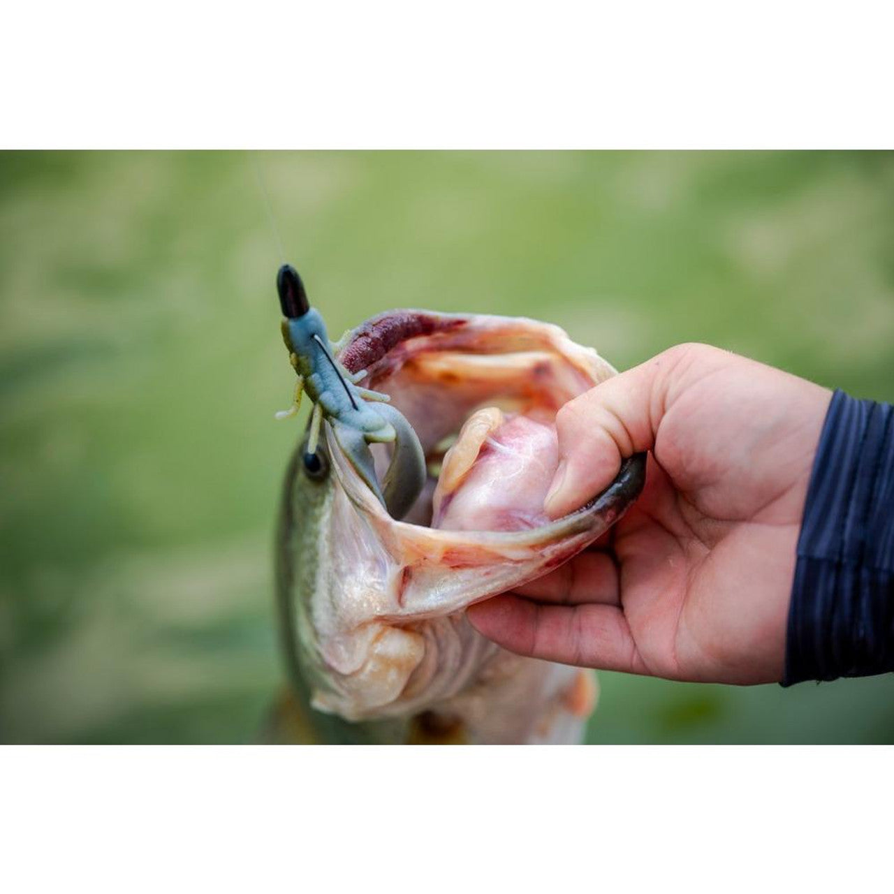 POWERBAIT MAX SCENT CHIGGER CRAW