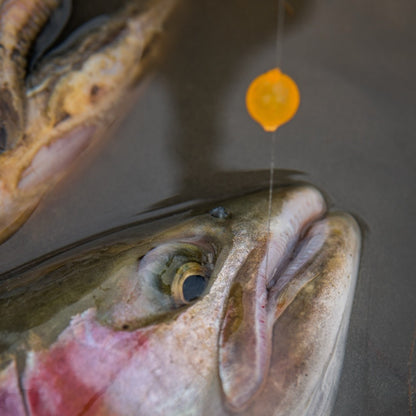 BOUNTY ACRYLIC BEADS