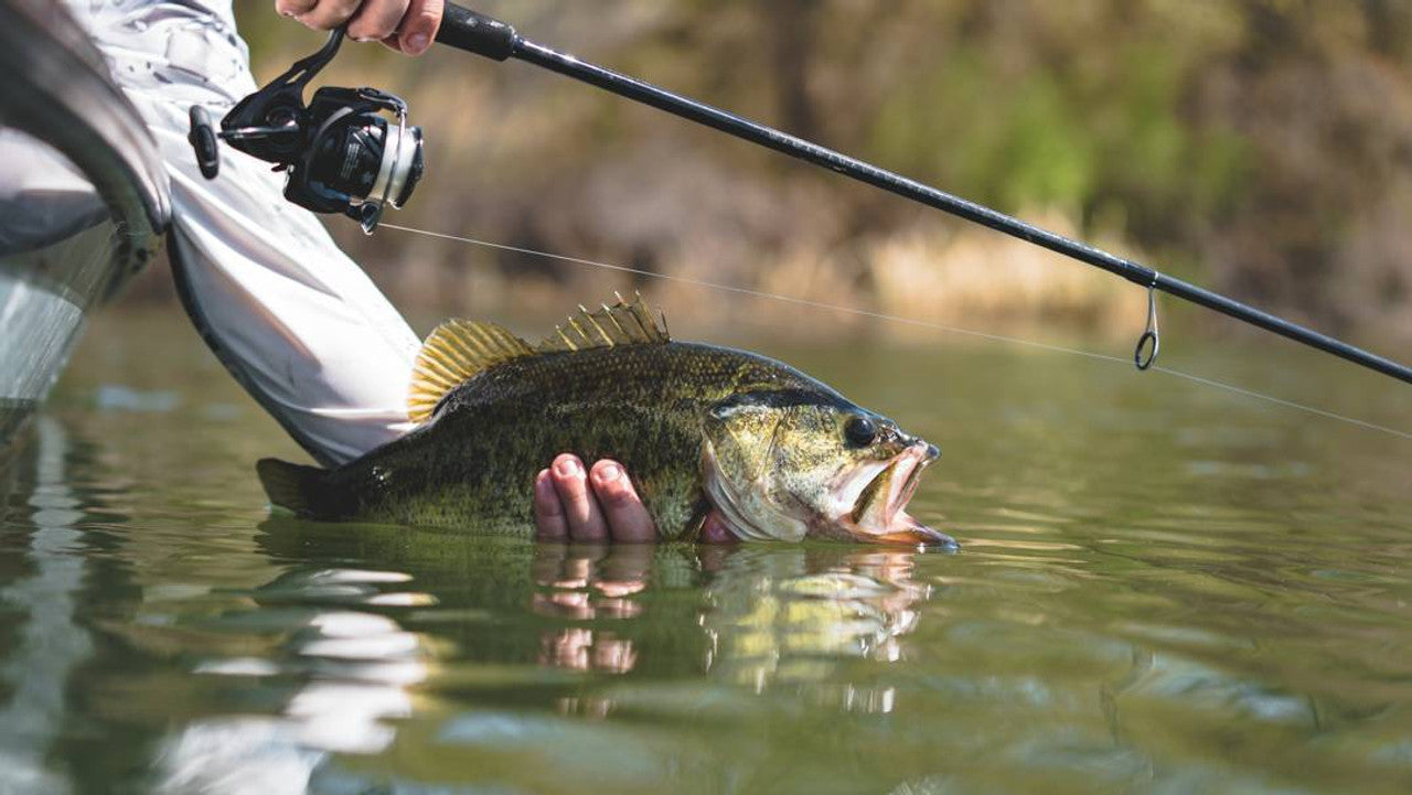 DAIWA TATULA XT SPINNING ROD