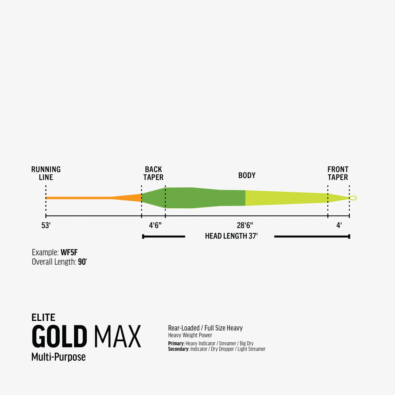RIO ELITE GOLD MAX FLY LINE