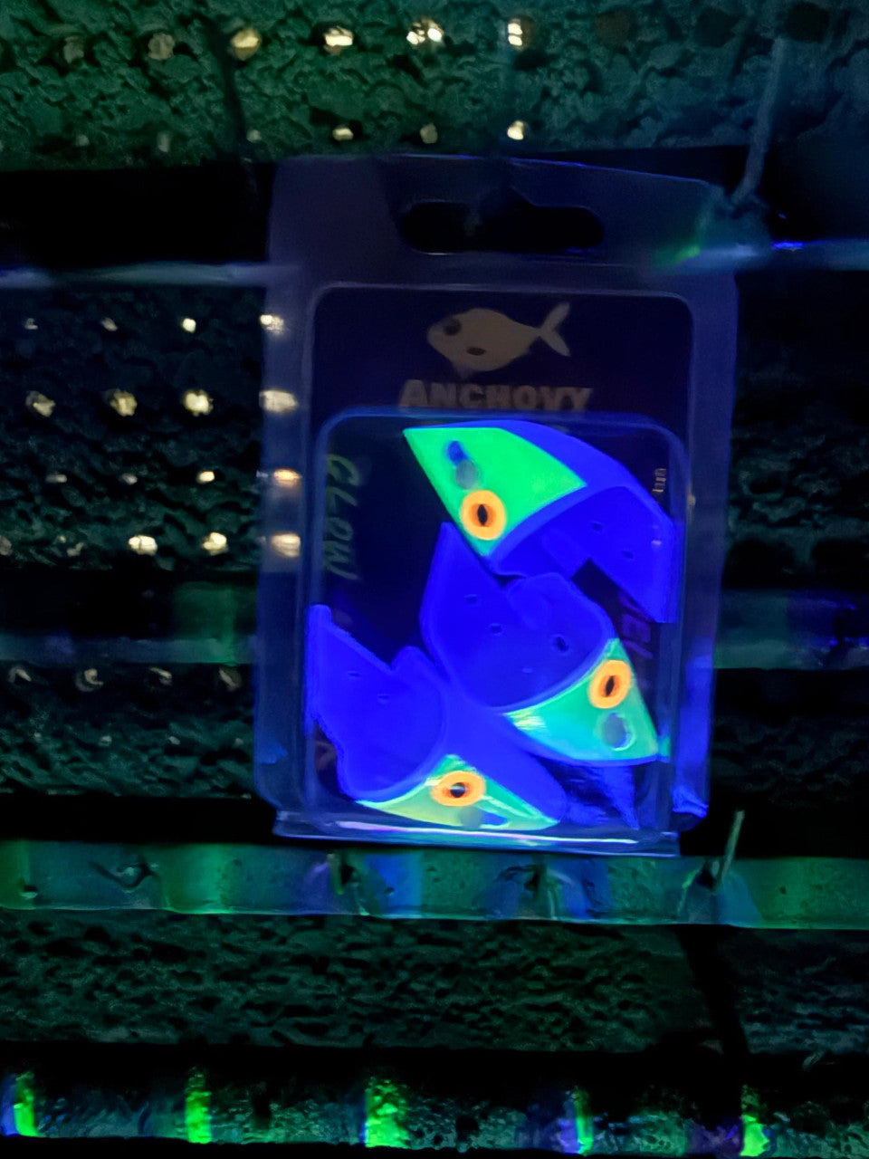 WESTCOAST ANCHOVY SLAYER - TEASER HEADS