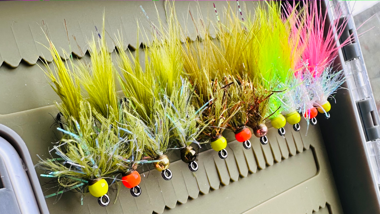 TODD'S COHO CHARMER FLY #8