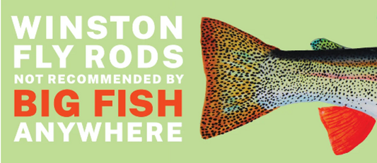 WINSTON NOT RECOMMENDED - 12" X 5"