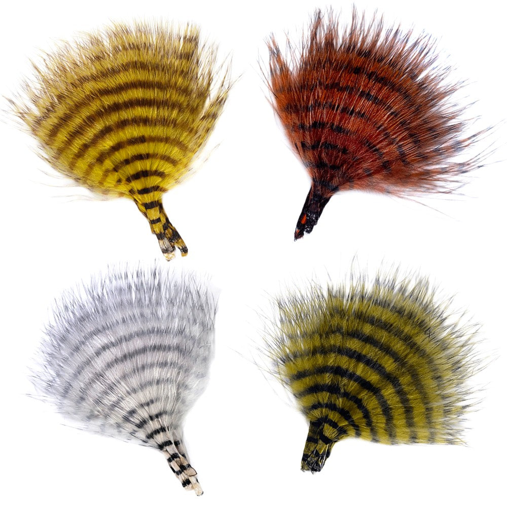 MFC MINI BARRED BUGGERBOU