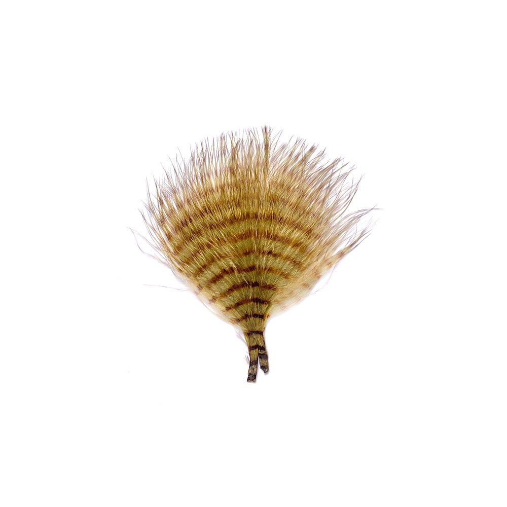 MFC MINI BARRED BUGGERBOU