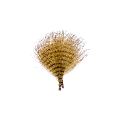 MFC MINI BARRED BUGGERBOU