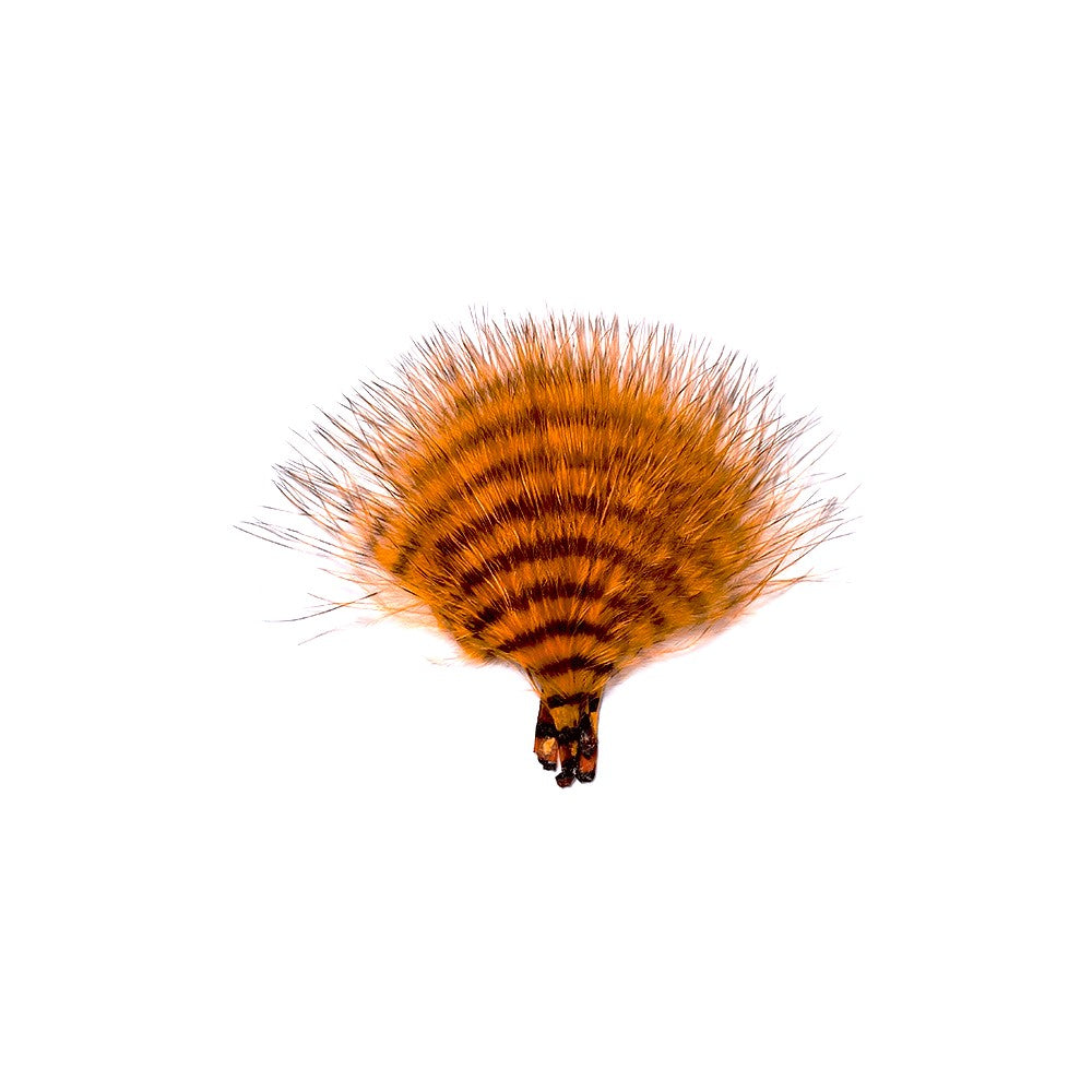 MFC MINI BARRED BUGGERBOU