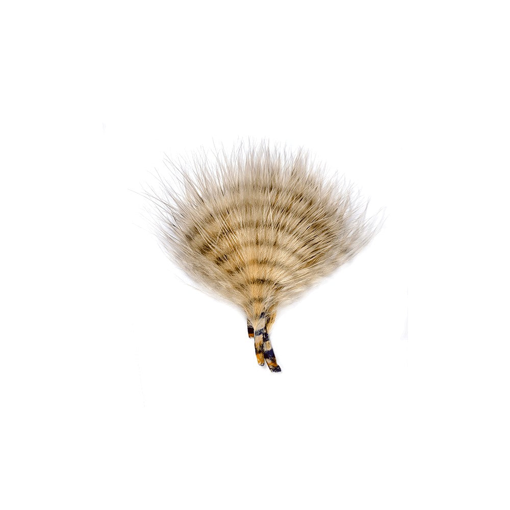 MFC MINI BARRED BUGGERBOU