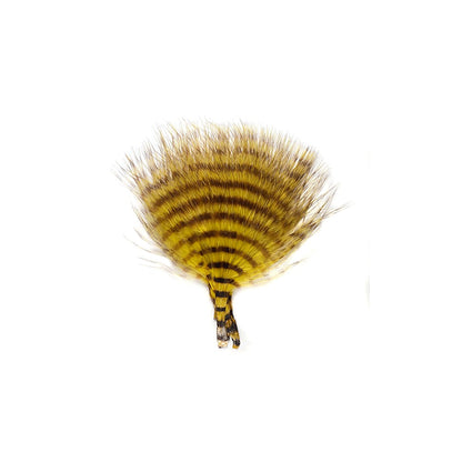 MFC MINI BARRED BUGGERBOU