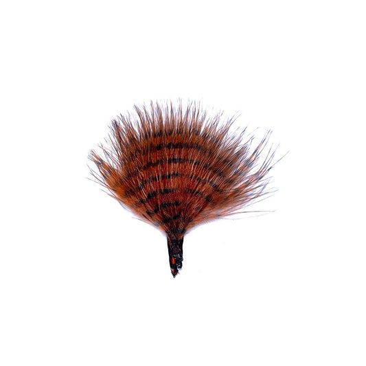 MFC MINI BARRED BUGGERBOU
