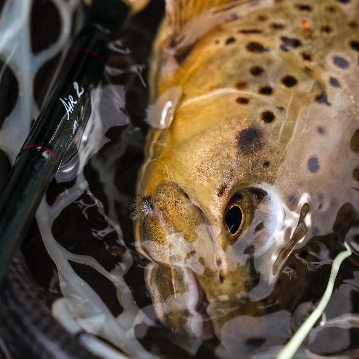 WINSTON AIR 2 FLY ROD