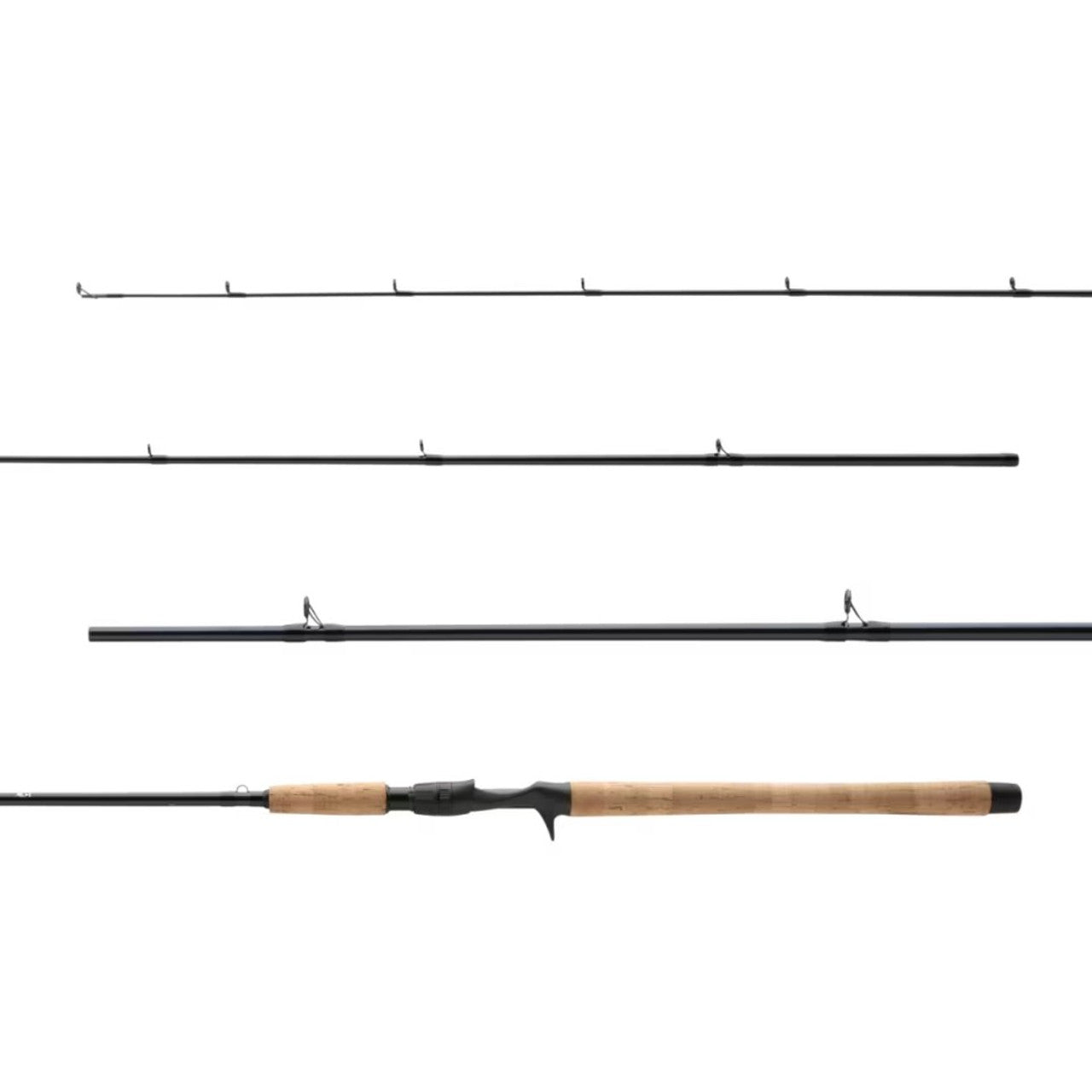 SHIMANO TECHNIUM CASTING ROD 2024