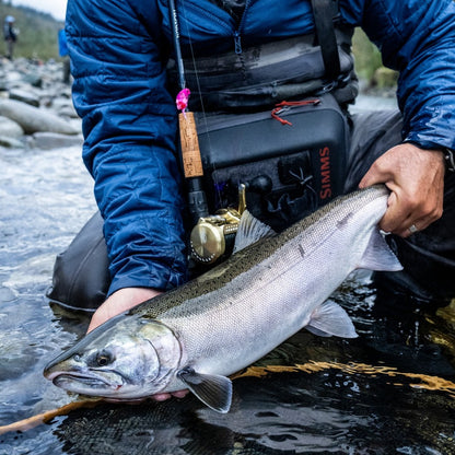 SHIMANO TECHNIUM CASTING ROD 2024