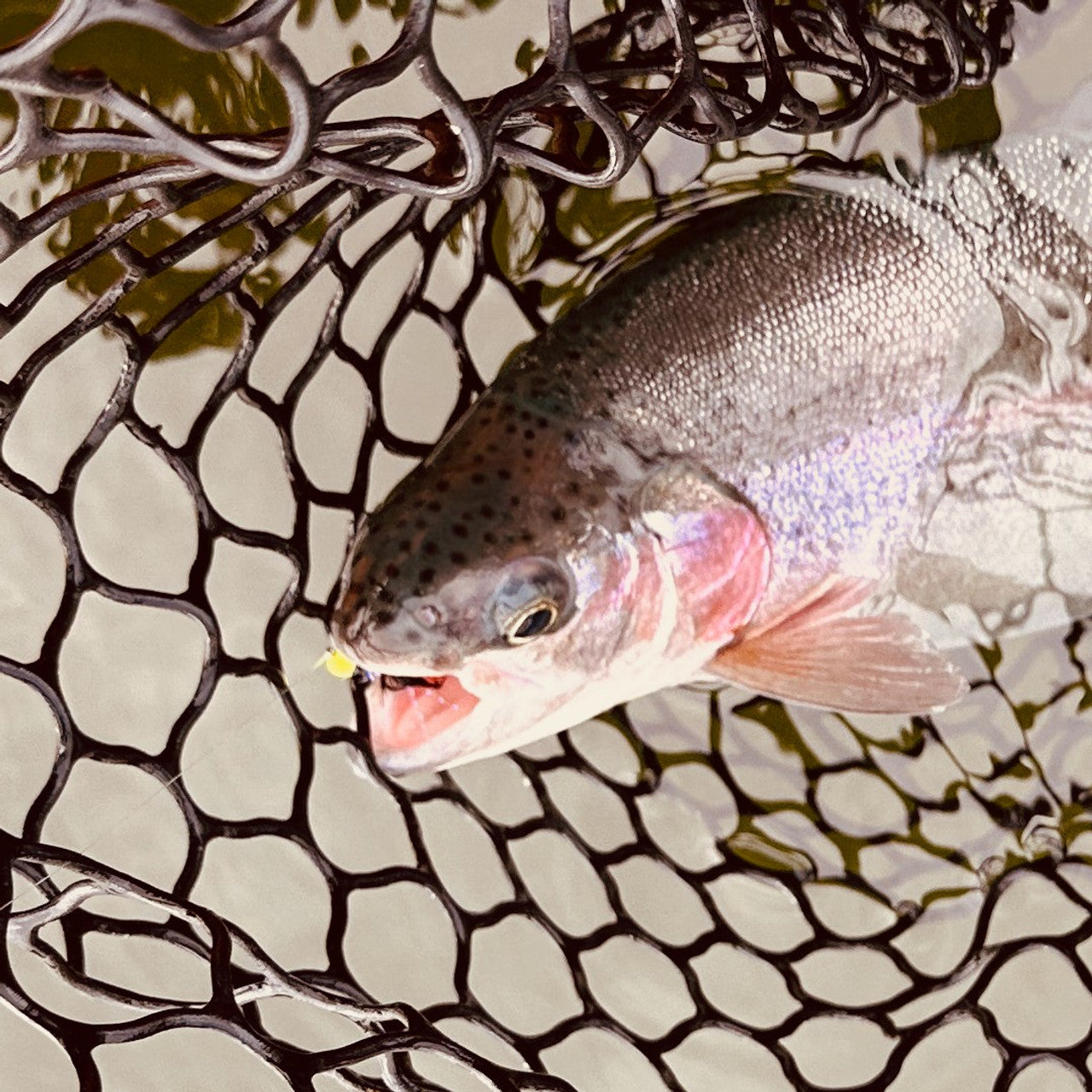 TODD'S DAMSEL BOMBER JIG FLY #10 BARBLESS