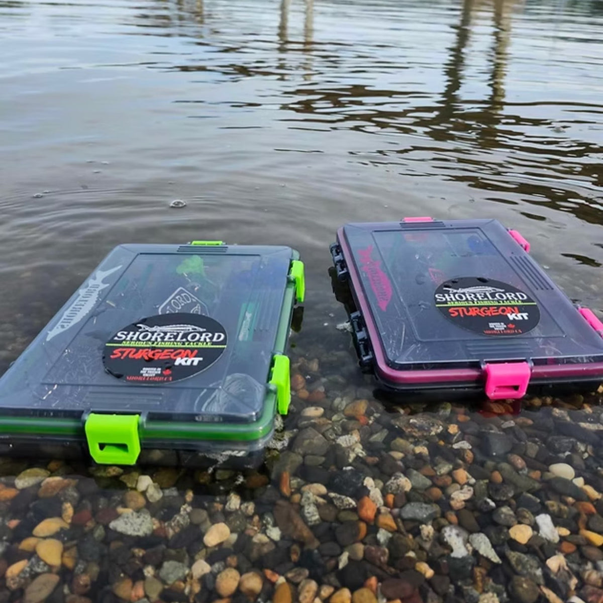 SHORELORD STURGEON KIT