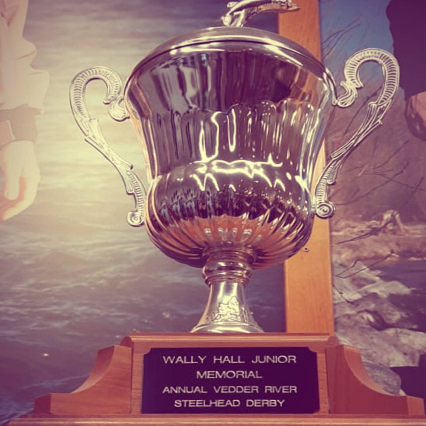 WALLY HALL JR. DERBY REGISTRATION