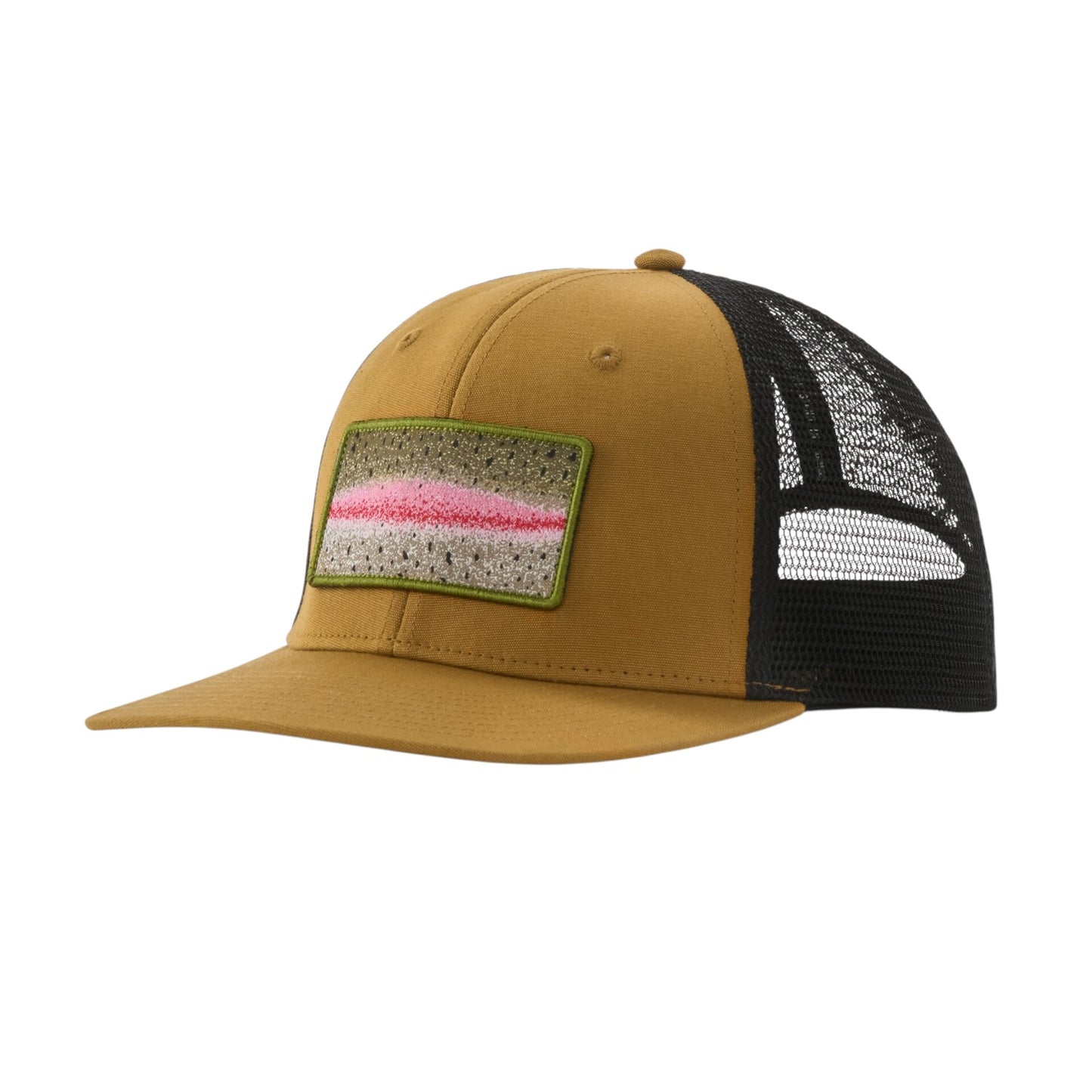 PATAGONIA TAKE A STAND TRUCKER HAT