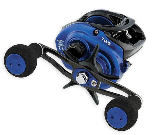 DAIWA COASTAL TW 200 BAITCAST REEL