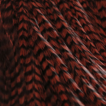 HARELINE HALF CAPE
