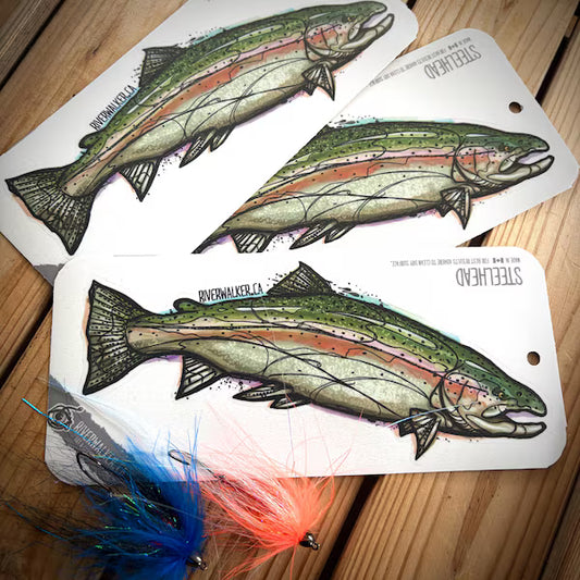 STEELHEAD LARGE DECAL