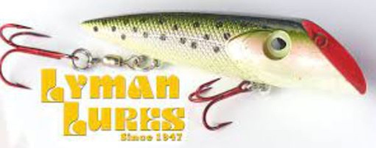 LYMAN 2" PLUG