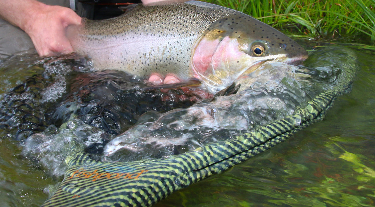 FISHPOND NOMAD EL JEFE NET